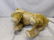 Antique Steiff Straw Stuffed Lion Animal - 6