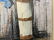 GH Wille Floral Still Life Oil Painting - 7