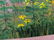 1966 Elizabeth Bouteiller-Lemche Landscape Oil Painting - 7