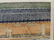 1963 Toshi Toshida Stone Garden Japanese Woodblock - 4