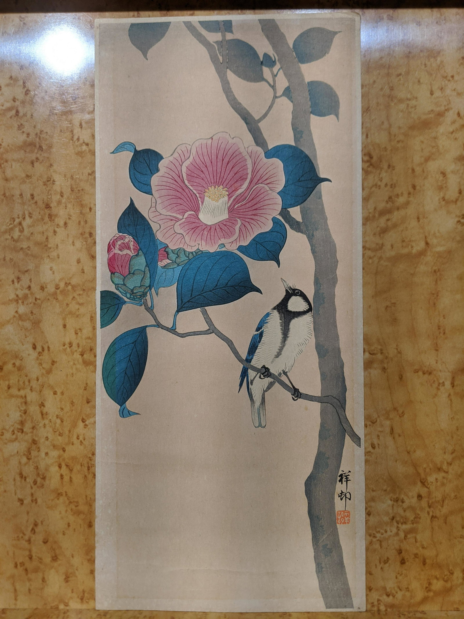 c1930s Koson Ohara Japanese Woodblock Print Bird: c1930s Koson Ohara Japanese Woodblock Print Bird on Camellia. Measurements in inches: 7 x 15 Condition:Well toned and has soiling Shipping:We offer in-house shipping. Item(s) will be packed after invo