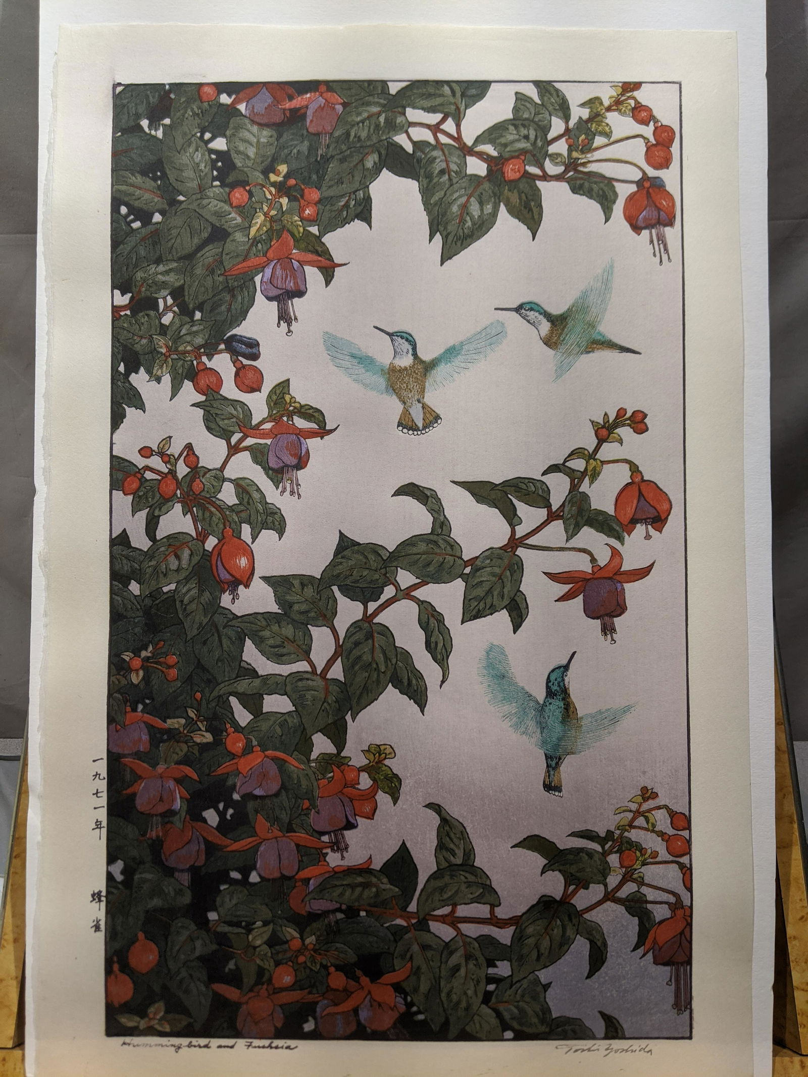 1971 Toshi Yoshida Japanese Woodblock Print Hummingbird: 1971 Toshi Yoshida Japanese Woodblock Print Hummingbird and Fuchsia. Posthumous Printing.. Measurements in inches: 19 5/8 x 11 3/4 Condition:Excellent condition. Has never been framed Shipping:We offe