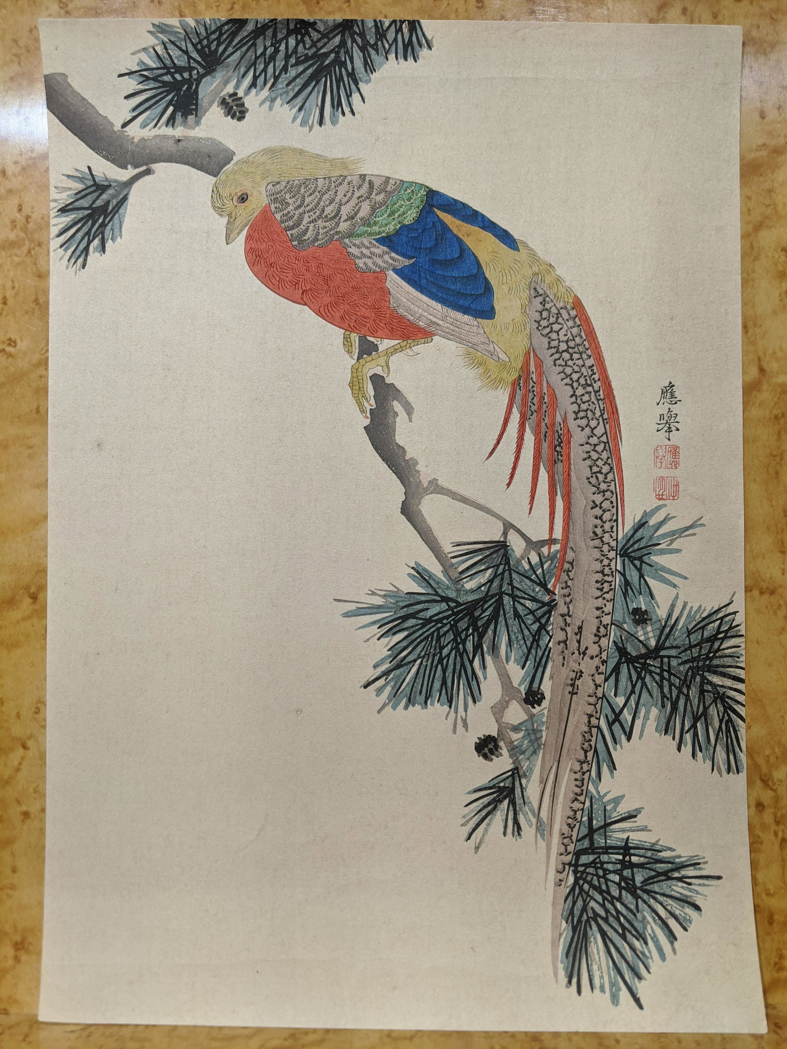 c1890 After Okyo Maruyama Chinese Pheasant Woodblock: c1890 After Okyo Maruyama Chinese Pheasant Woodblock print from Okyo's painting. With certificate of authenticity. Measurements in inches: 10 x 14 Condition:Has light creasing and foxing Shipping:We o