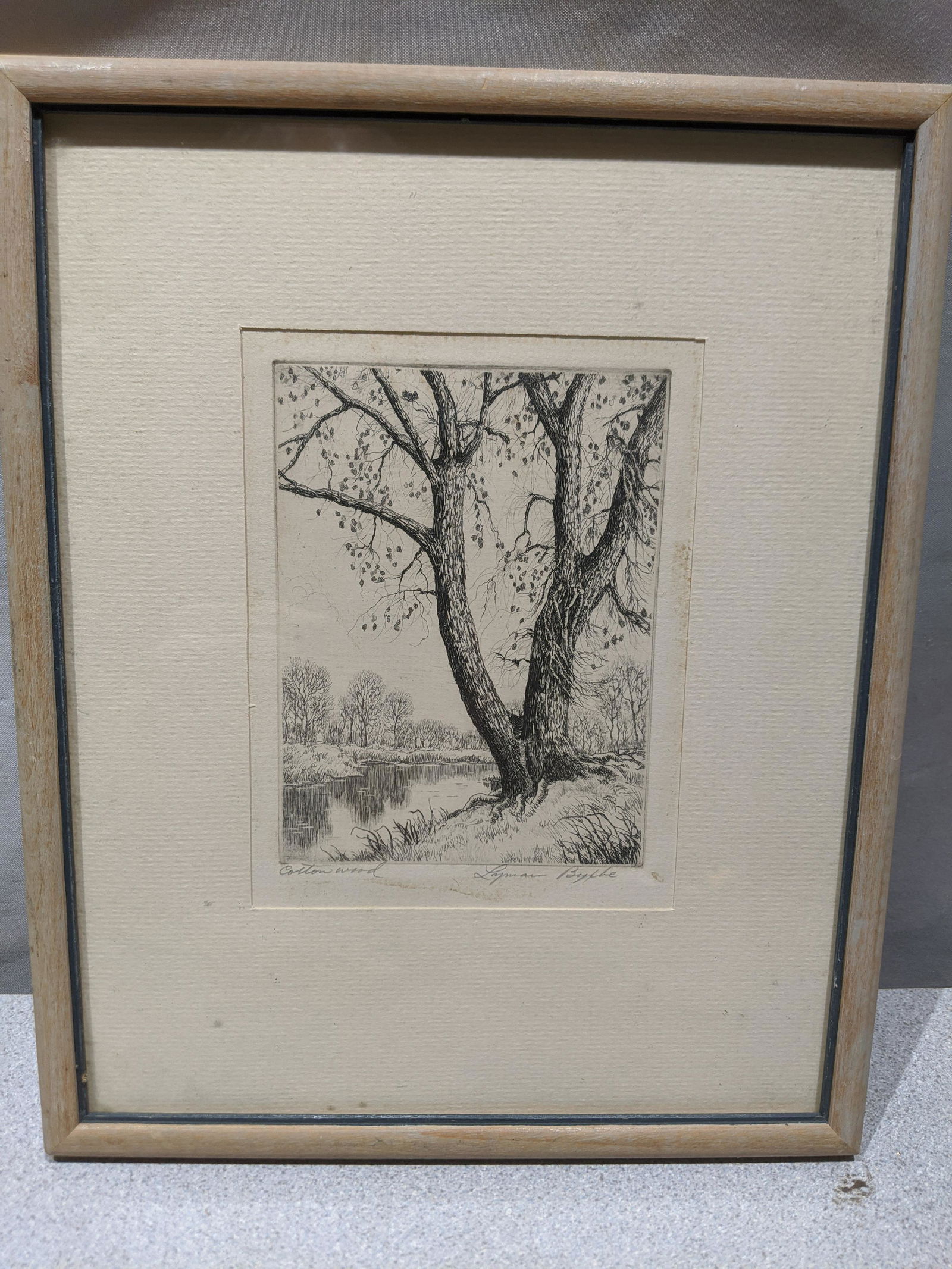 Lyman Bixby Cottonwood Tree by Pond Etching (1 of 8)