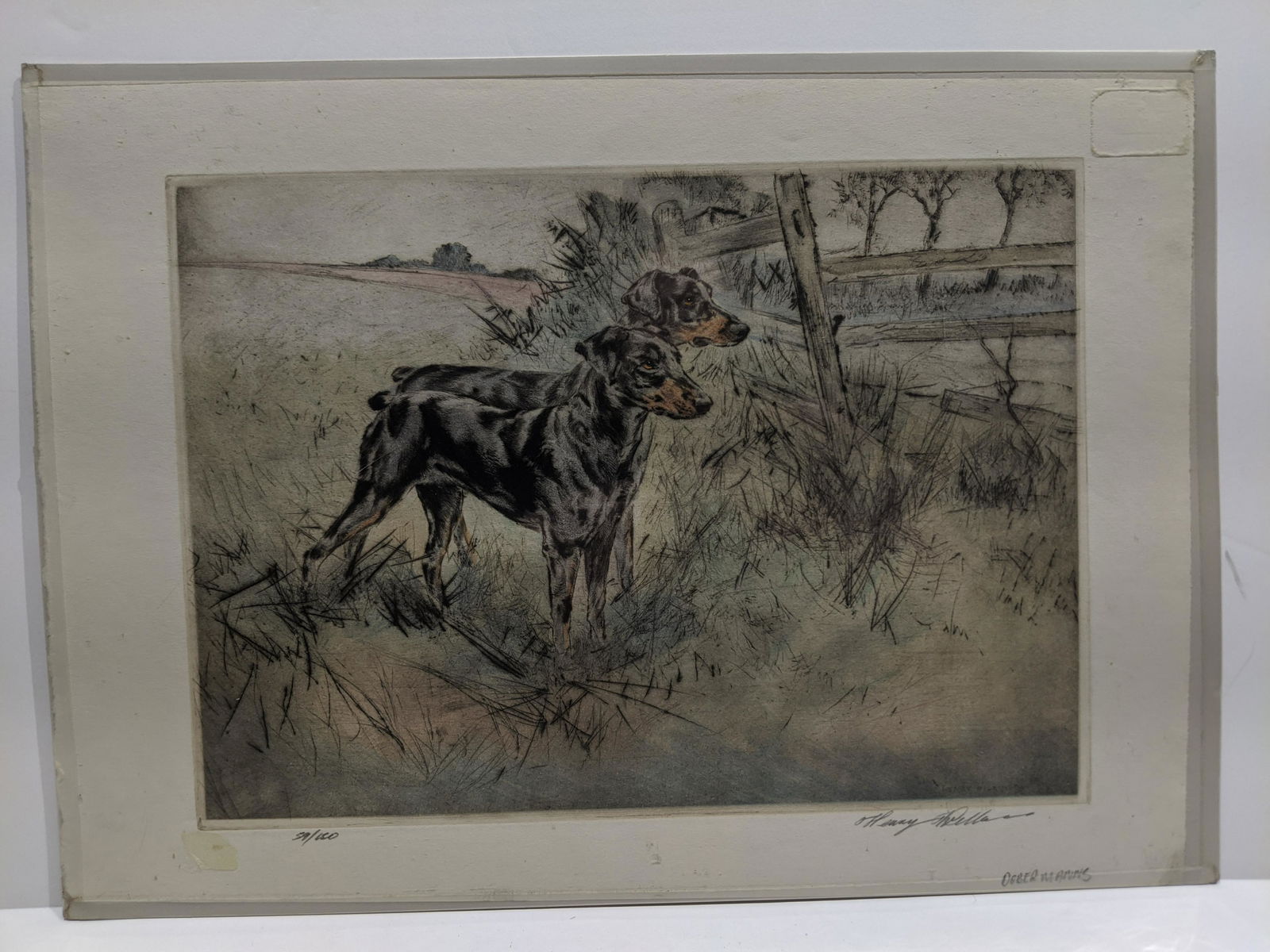 Henry Wilkinson Dog Color Ltd Ed Etching Dobermans (1 of 10)