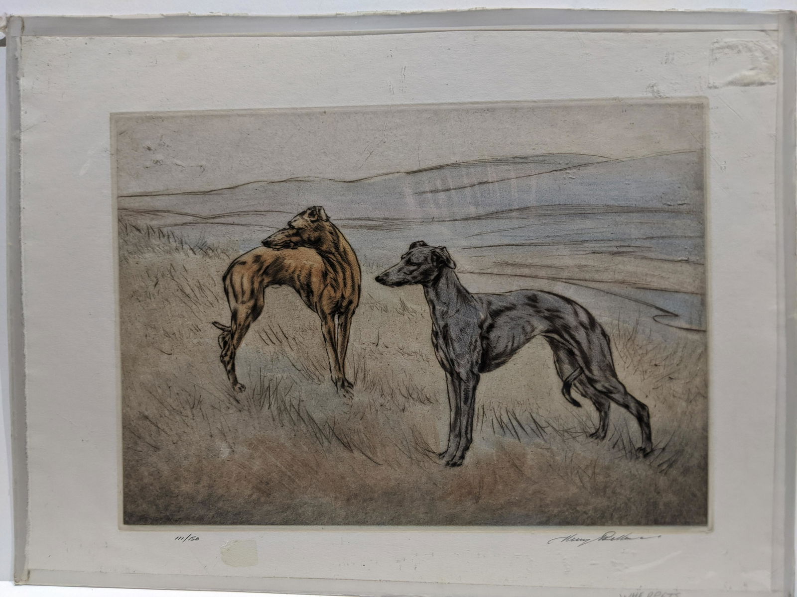 Henry Wilkinson Dog Color Ltd Ed Etching Whippets (1 of 9)