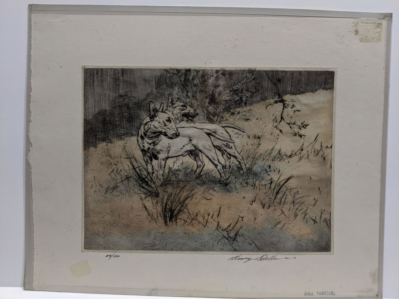 Henry Wilkinson Dog Color Ltd Ed Etching Bull Terriers (1 of 8)