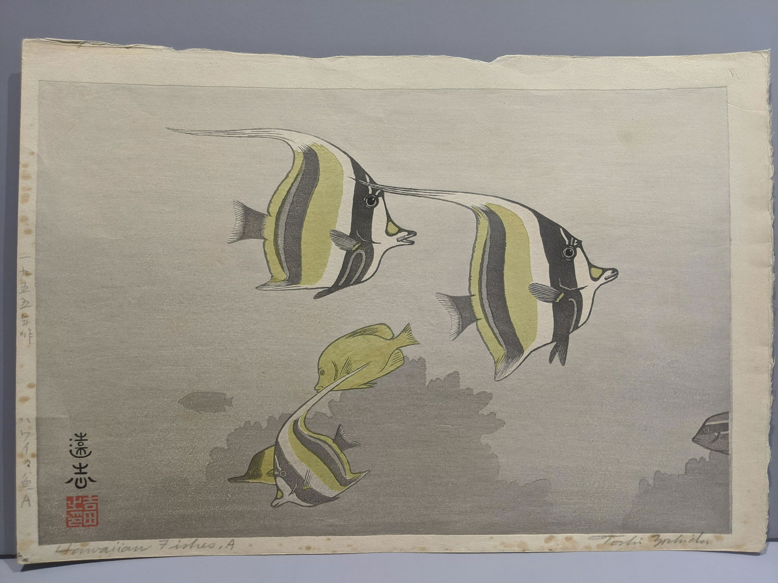 Toshi Yoshida Japanese Woodblock Print Hawaiian Fishes: Toshi Yoshida Japanese Woodblock Print Hawaiian Fishes A, 1955 Pencil signed lifetime printing. Measurements in inches: 16 x 11 Condition:Has foxing and toning Shipping:We offer in-house shipping. Ite