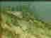 item-114073176=2
