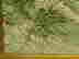 item-114073176=5