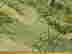 item-114073176=6