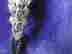 item-121683003=3