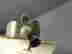 item-127756594=3