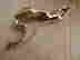 item-127756603=3