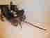 item-131526070=6