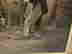item-131950410=10