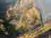 item-131950413=12