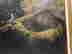 item-131950413=7