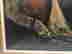 item-131950413=8