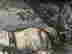 item-131950421=4