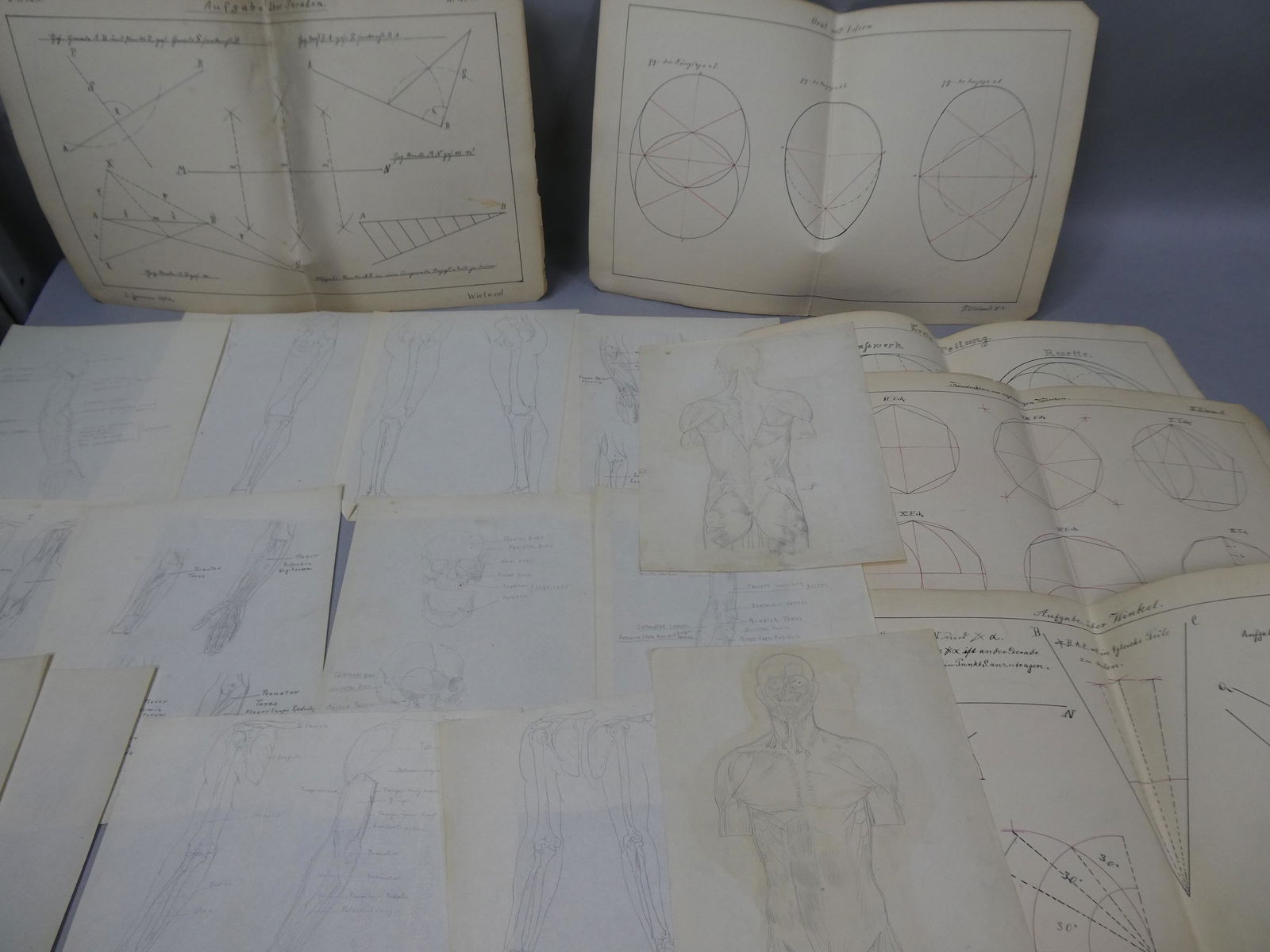 Lot c1900 Frits Weiland Original Geometric & Human Anatomy Drawings (1 of 15)