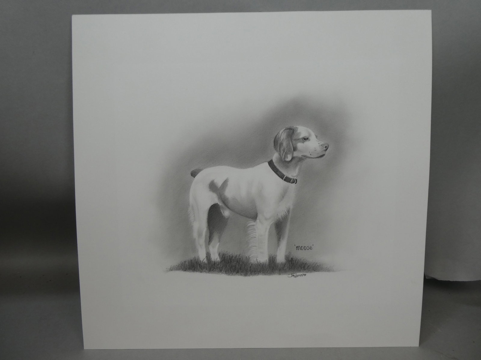 1999 Jim Peers or Speers? Dog Named Moose Pencil Drawing: 1999 Jim Peers or Speers? Dog Named Moose Pencil Drawing, unframed. Signed and dated lower right. Measurements in inches: 17 x 16 1/2 Condition:Good with no problems Shipping:We offer in-house shippin