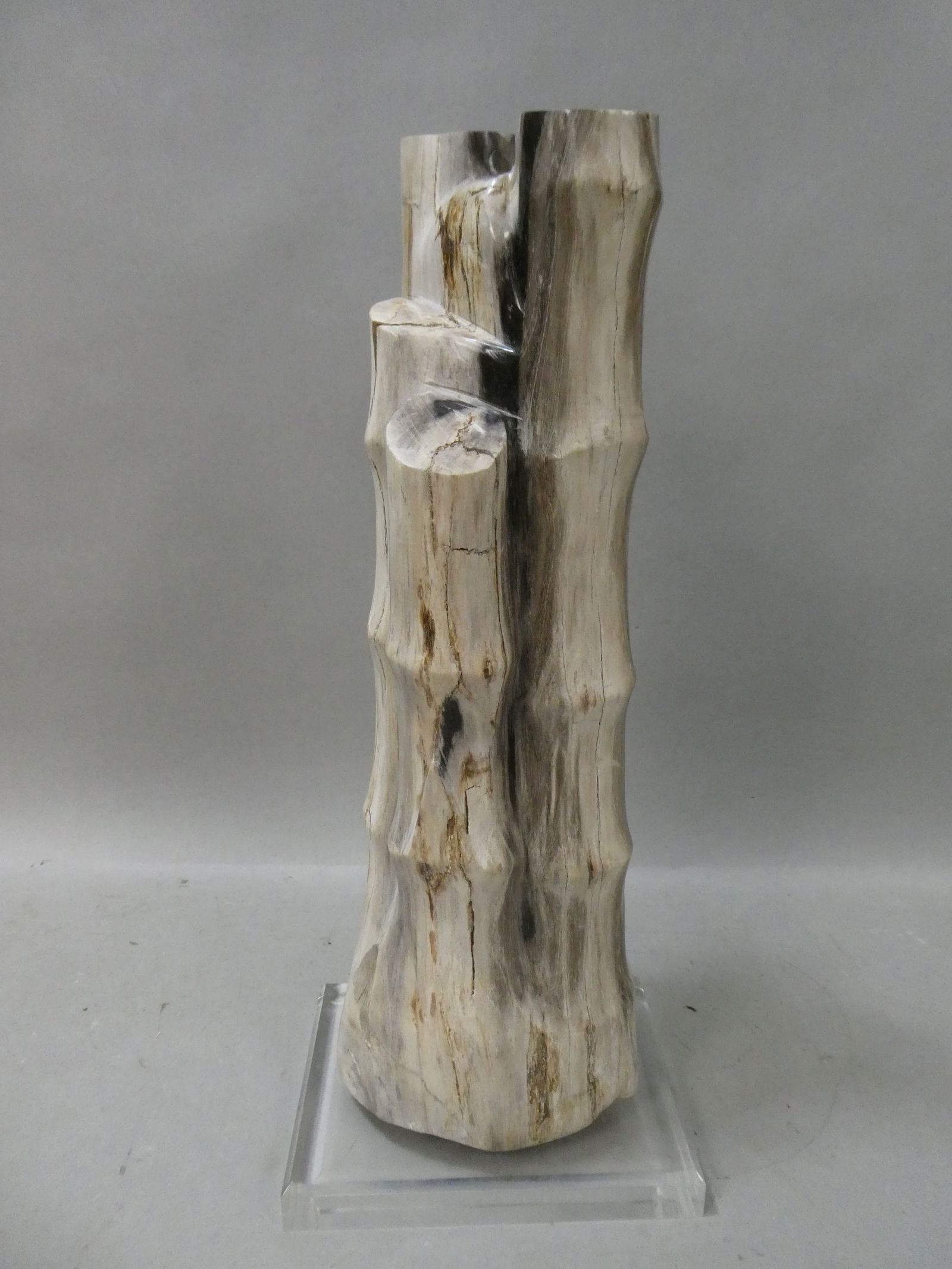 Chinese White Bamboo Polished Petrified Wood Sculpture (1 of 8)