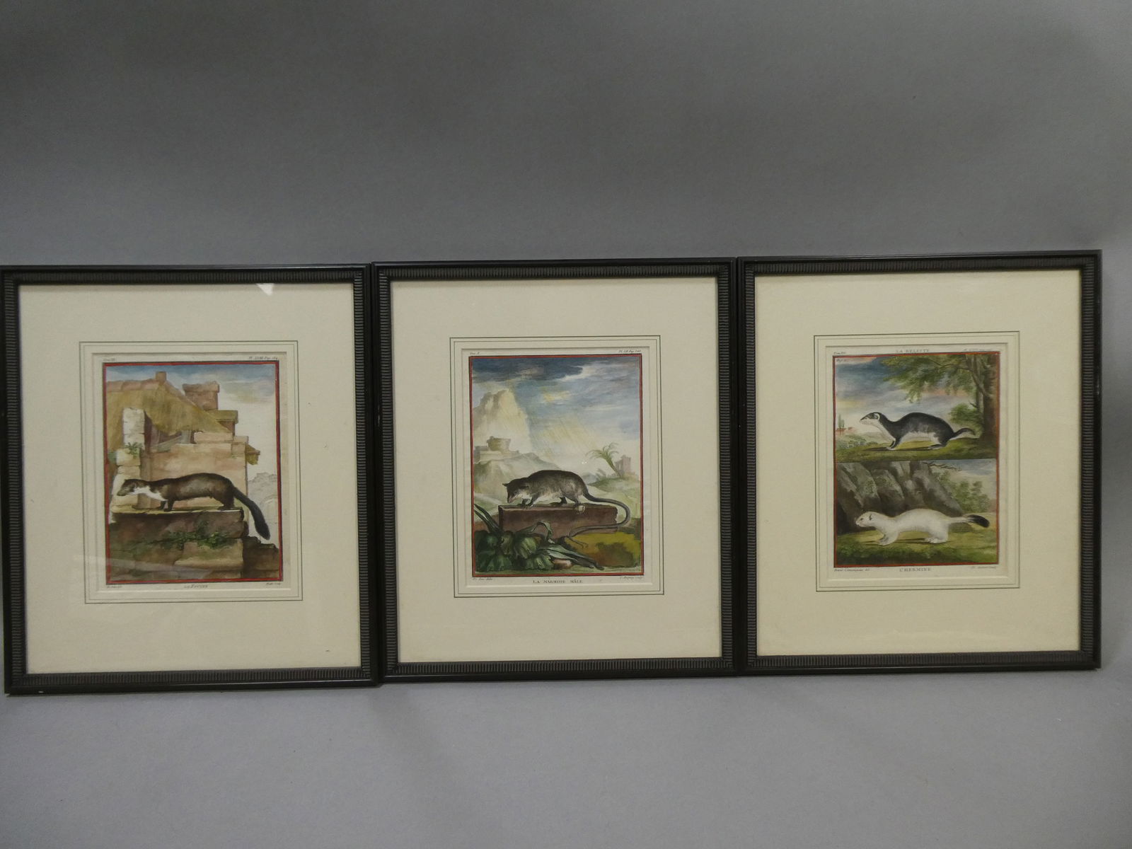 Set 3 Antique Weasel Possum Colored Framed Etching Bookplates (1 of 13)