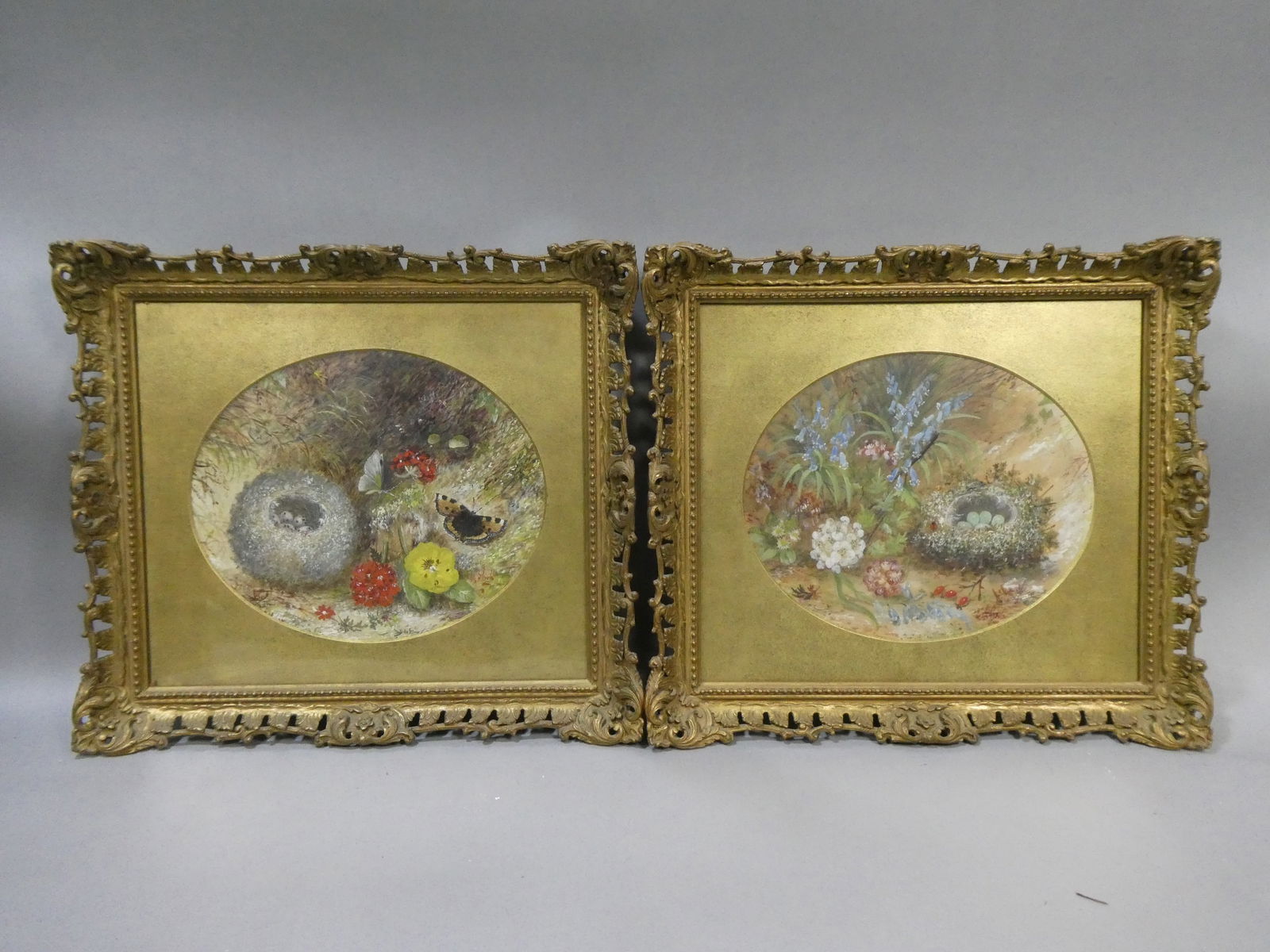 Pair 19th Century Joseph Such Birds Nest Forest Floor Watercolor Painting (1 of 20)