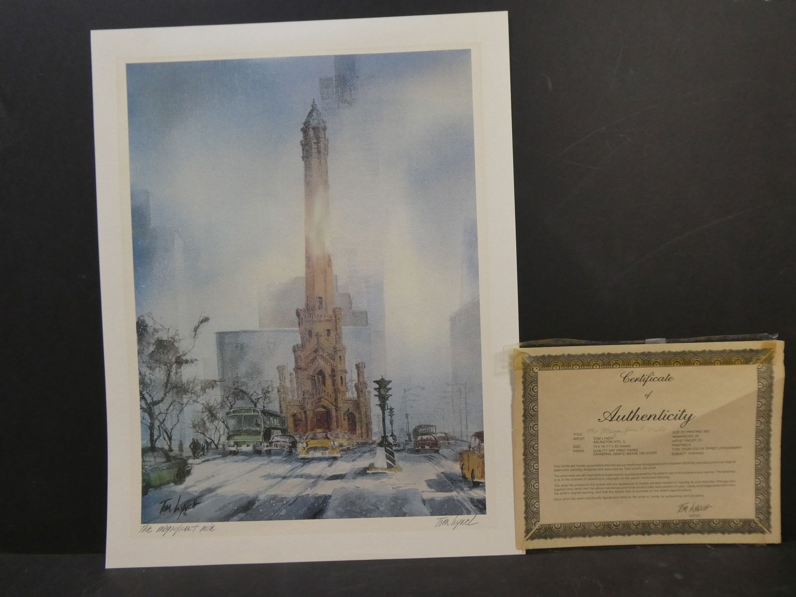 Tom Lynch Magnificent Mile Limited Edition Lithograph w/ COA (1 of 12)