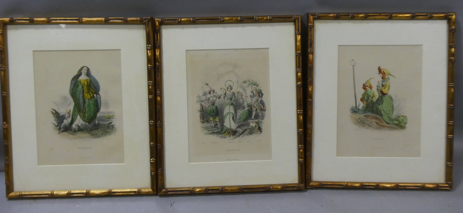 Set 3 Antique JJ Grandville Color Engravings Court of Flora: Set 3 JJ Grandville Color Engravings Court of Floral framed under glass. Includes Capucine, Erratum and Nenuphar. Measurements in inches: 11 x 13, images: 6 1/4 x 8 1/2 Condition:All have toning, Nenu