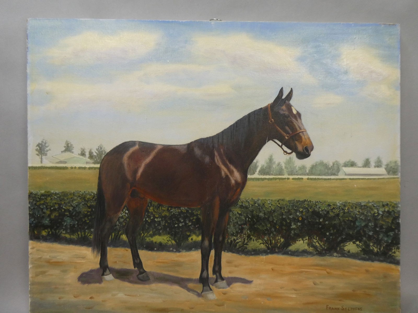 Frank Stephens Horse in Landscape Oil Painting Listed Artist (1 of 13)