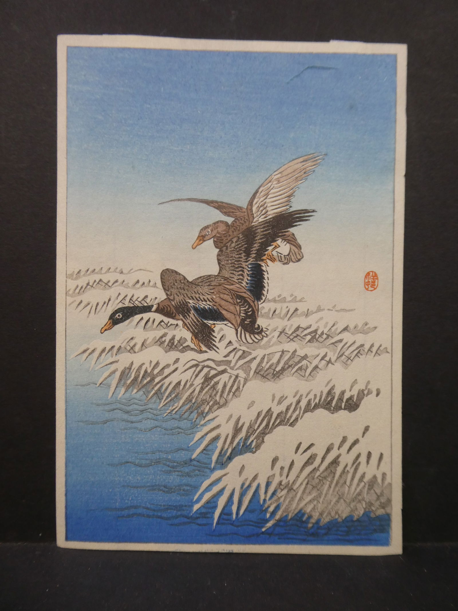 Ohara Koson Geese Small Japanese Woodblock Print: Ohara Koson Geese Small Japanese Woodblock Print. Not framed. Measurements in inches: 5 x 7 1/2 Condition:Has tape residue on reverse Shipping:We offer in-house shipping. Item(s) will be packed after