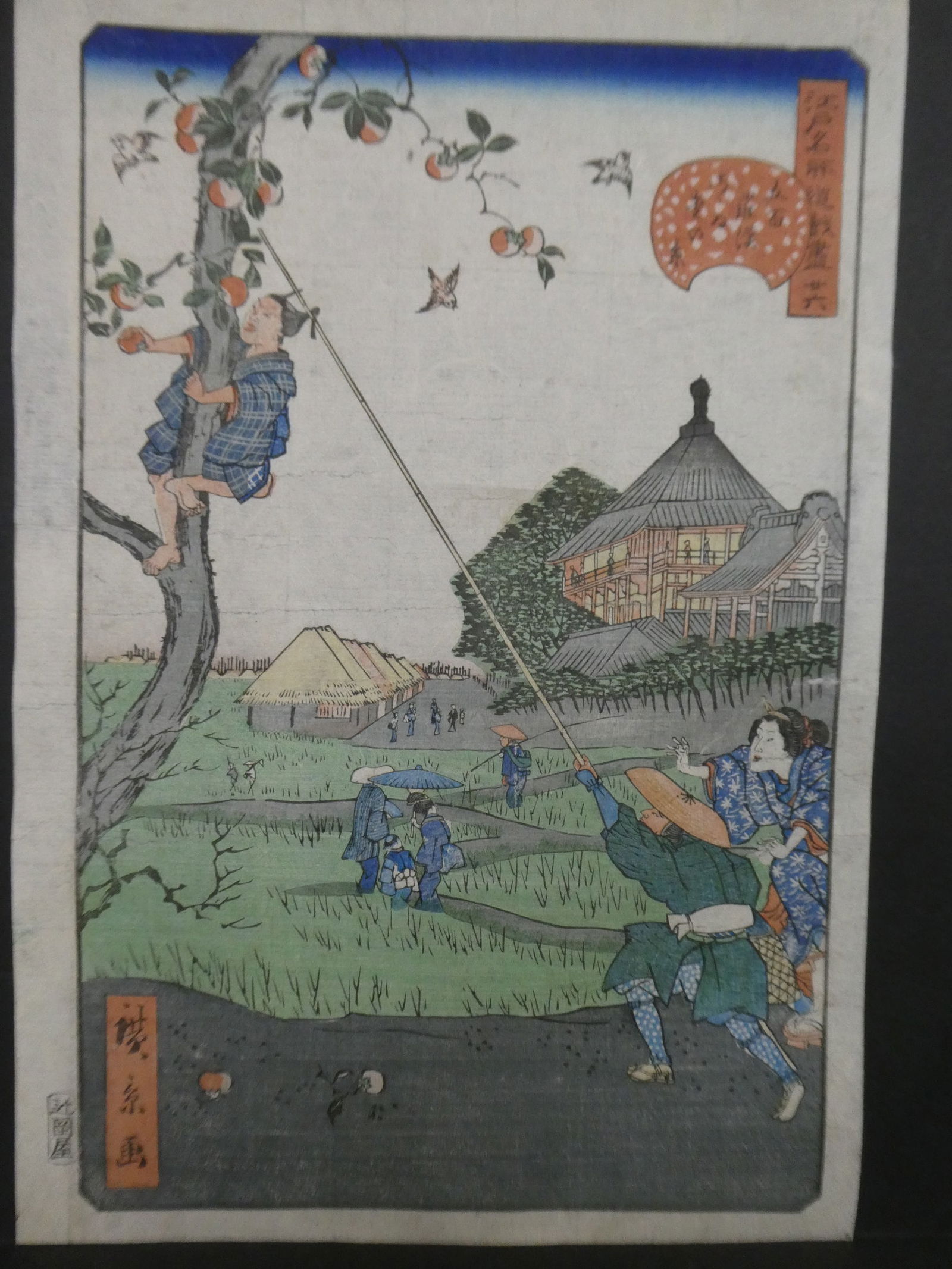 Original 19th Century Ando Hiroshige Japanese Woodblock Print Picking Apples: Original 19th Century Ando Hiroshige Japanese Woodblock Print Picking Apples. Unframed.. Measurements in inches: 14 x 9 1/2 Condition:Has minor fading Shipping:We offer in-house shipping. Item(s) will
