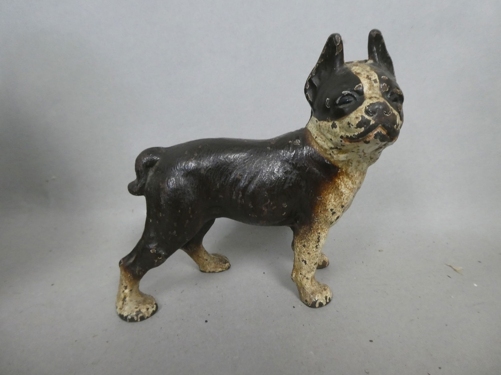 Antique Cast Iron Boston Terrier Dog Still Bank (1 of 5)
