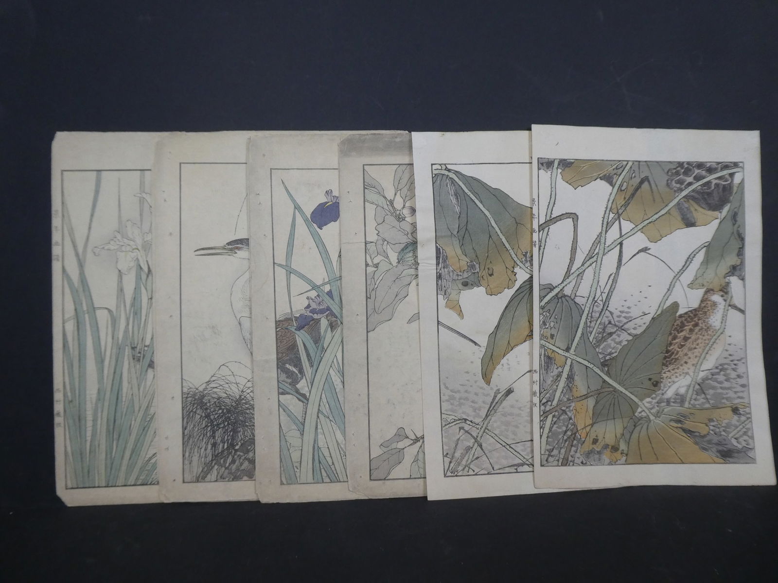 Original 19th Century Kono Bairei Japanese Woodblock Print Lot 10 Birds (1 of 11)