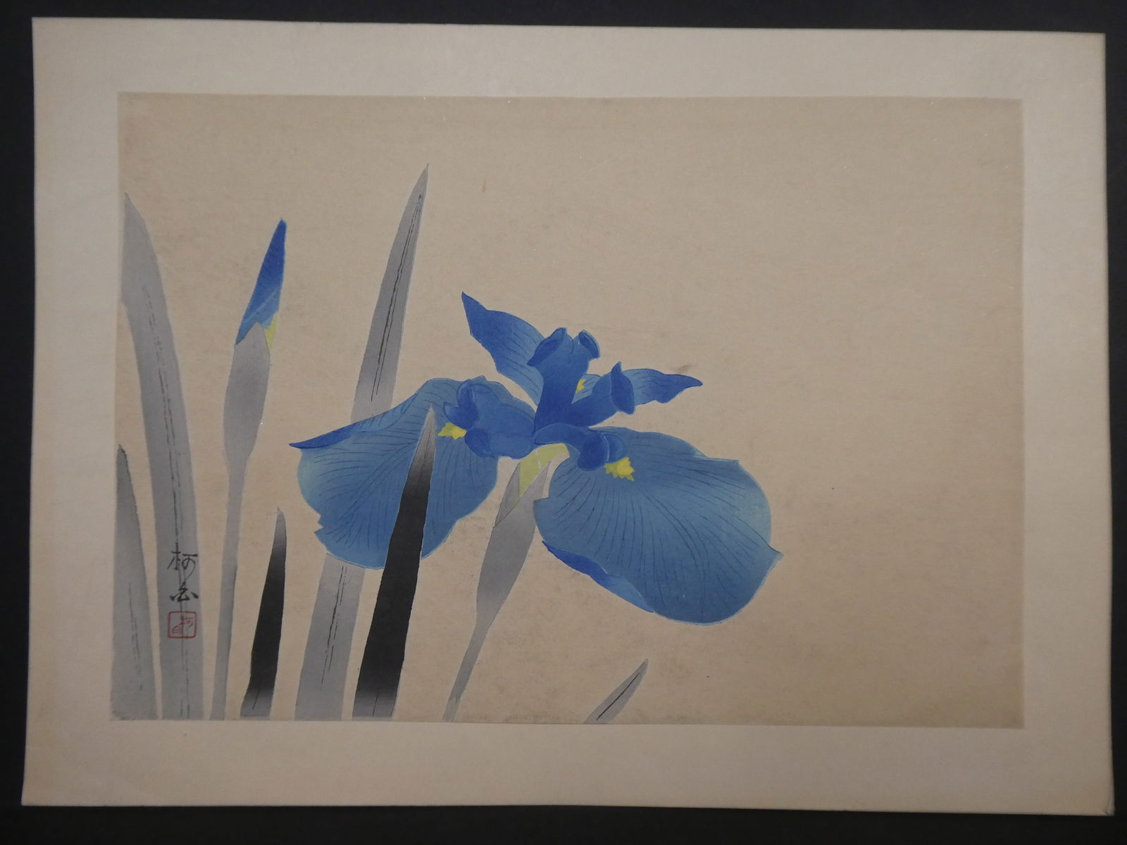 Vintage Kahaku Japanese Woodblock Print Blue Irises (1 of 8)