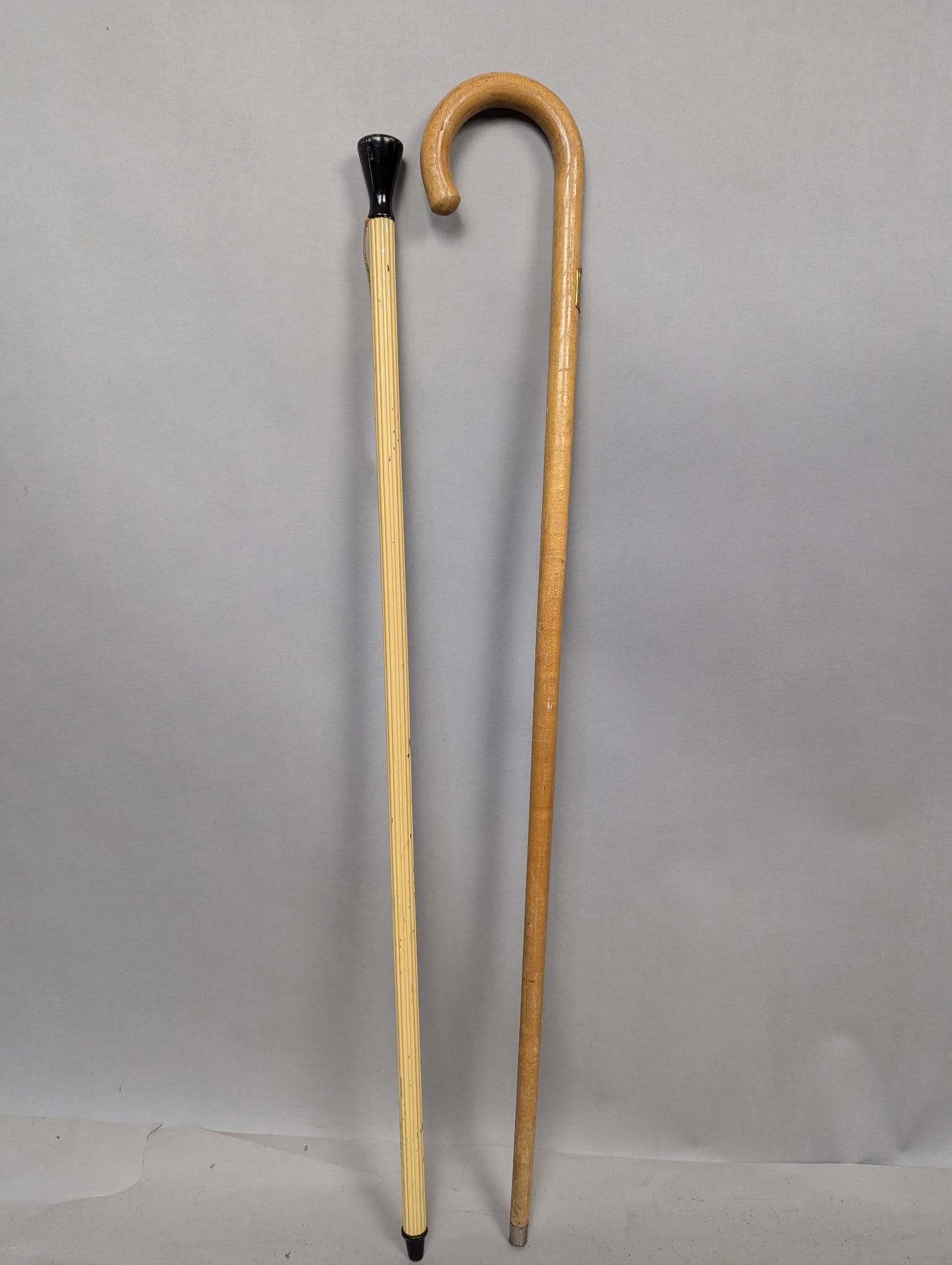 1933 Chicago Worlds Fair Pair of Canes Century of Progress (1 of 5)