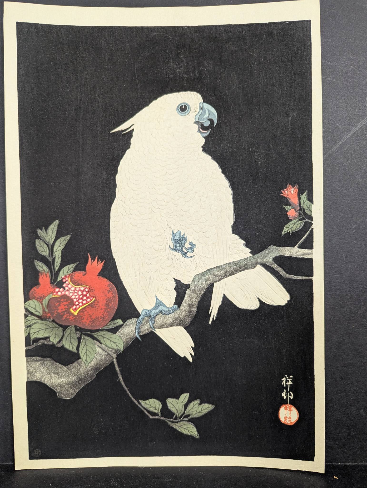Ohara Koson Japanese Woodblock Print Cockatoo and Pomegranate: Japanese woodblock print 'Cockatoo and Pomegranate' (Zakuro ni Omu) by Ohara Koson circa 1927. It measures 15 1/4 x 10 5/16 inches. Features a white cockatoo perched on a branch with a pomegranate sho