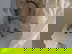 item-209277110=4