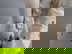 item-209277116=4