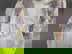 item-209277118=3
