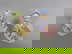item-209277123=4