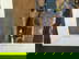 item-209897225=8