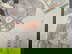 item-209897257=7