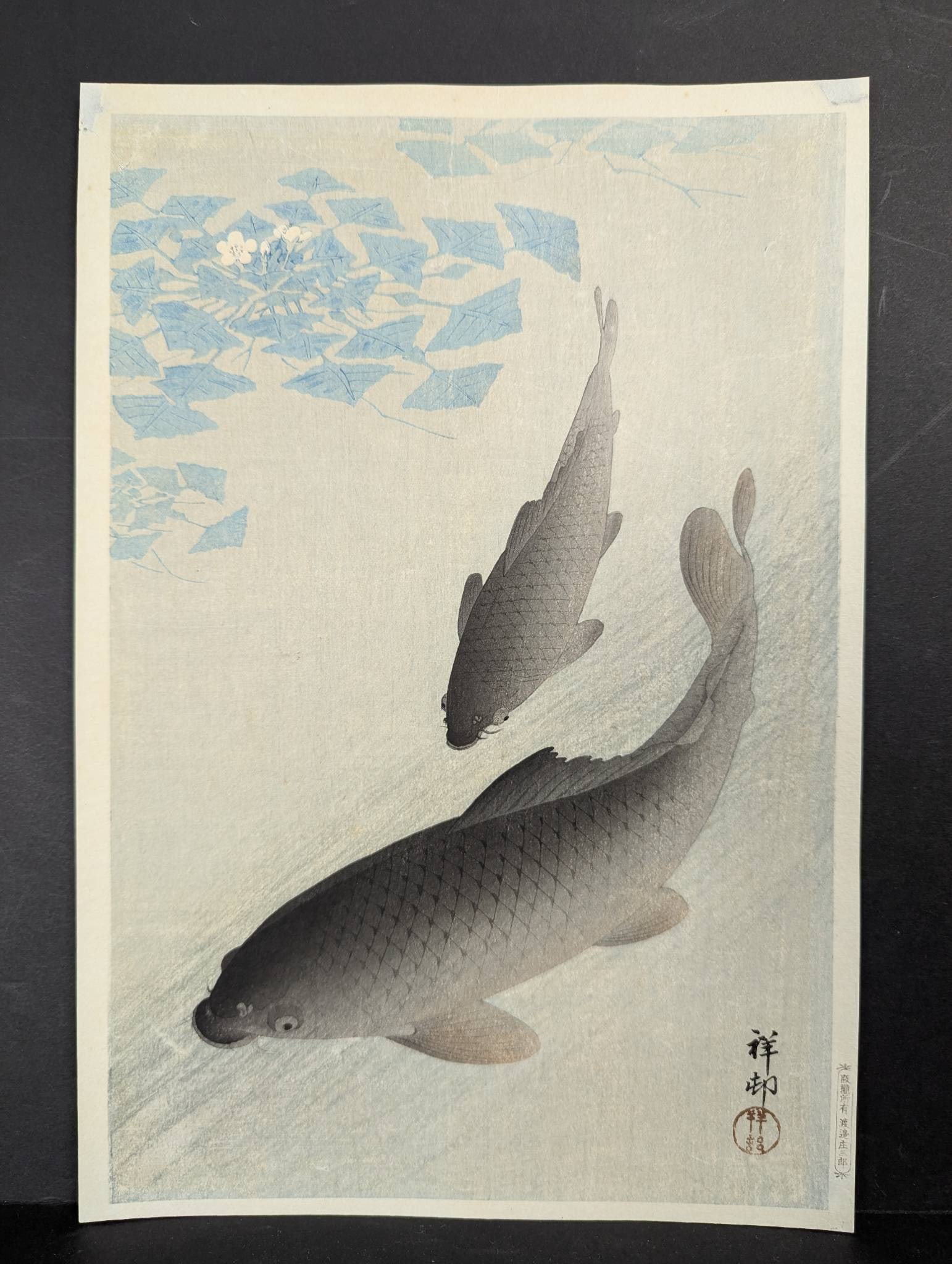 Japanese Woodblock Print Carp by Ohara Shoson with C-Type Watanabe Seal: Japanese woodblock print titled Carp by Ohara Shoson, an artist active during the late Meiji, Taisho, and early Showa periods. Shoson (1877-1945) was renowned for his kacho-e or bird-and-flower prints