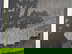 item-209897352=4