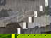 item-209897352=5