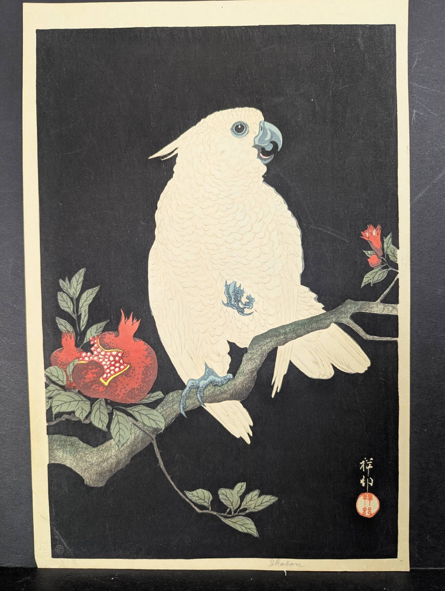 Japanese Woodblock Print Cockatoo and Pomegranate by Ohara Koson: Japanese woodblock print titled Cockatoo and Pomegranate created by Ohara Koson (1877-1945), a renowned Japanese artist celebrated for his kacho-e (bird-and-flower) designs within the shin-hanga (new