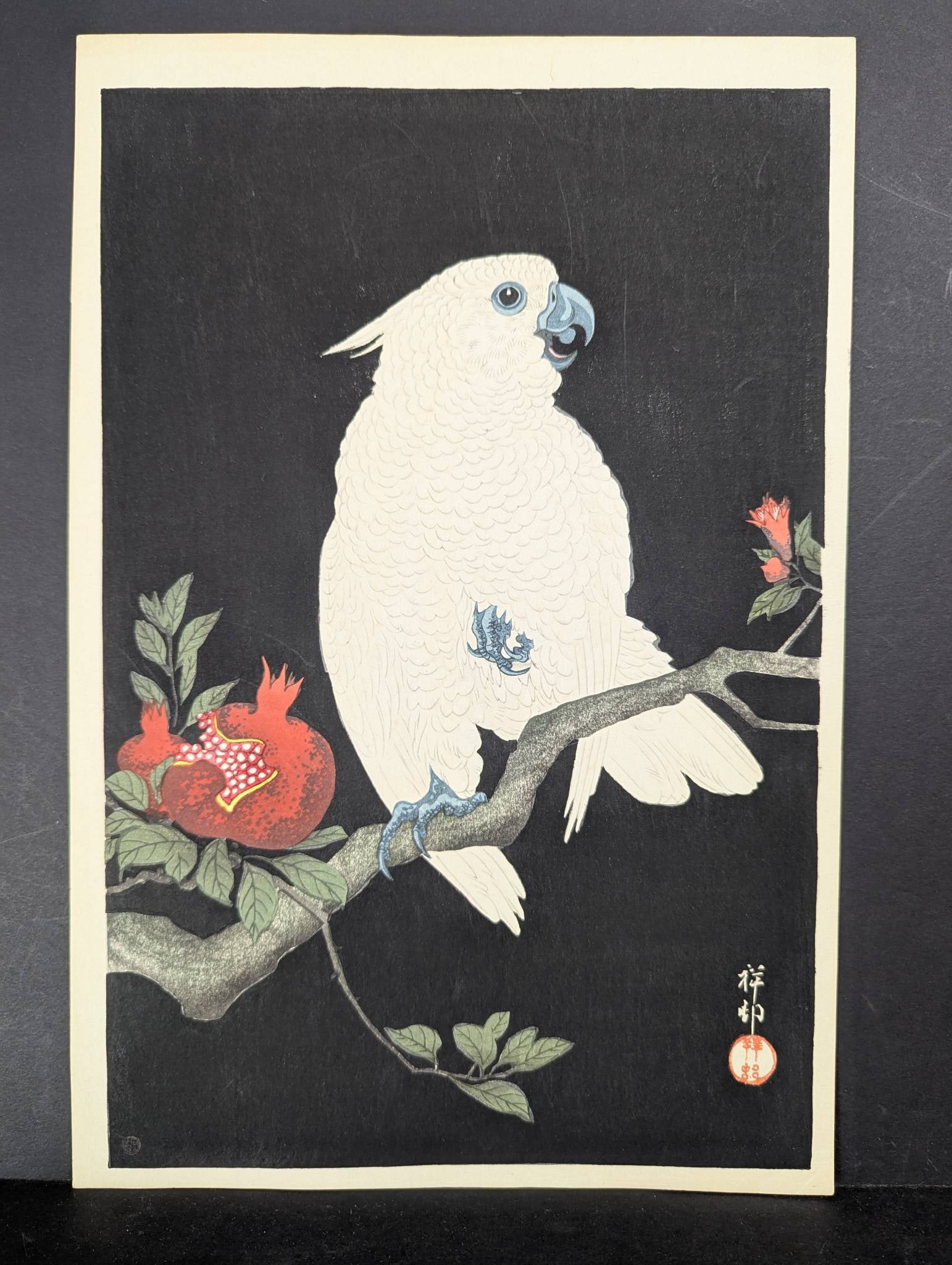 Japanese Woodblock Print Depicting Cockatoo and Pomegranate by Ohara Koson: This Japanese woodblock print, measuring 10 1/4 inches high and 15 1/2 inches wide, is titled Cockatoo and Pomegranate and was created by Ohara Koson (1877â€“1945), also known as Shos